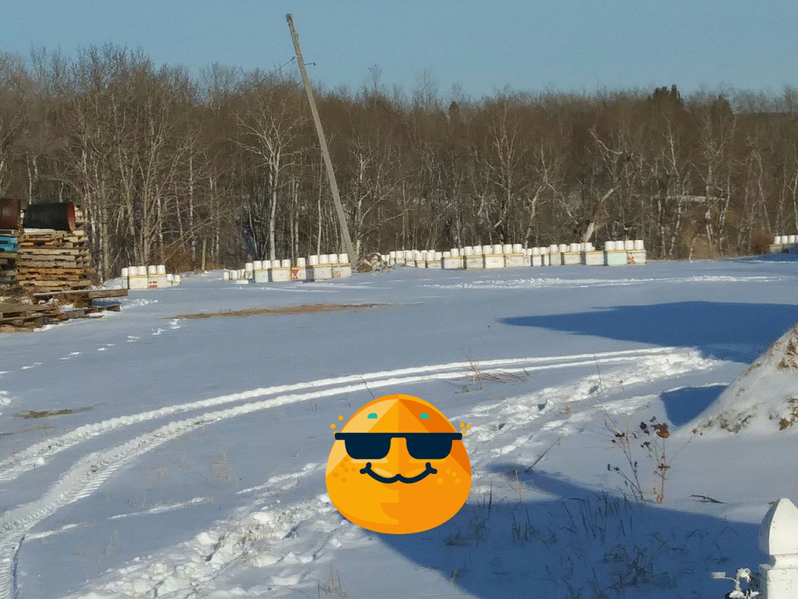 2021 Season photo 18